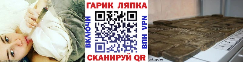 Купить закладки  Новомичуринск  Гашиш индика сатива 