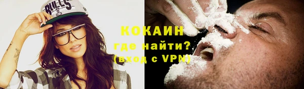 прущие грибы Горно-Алтайск
