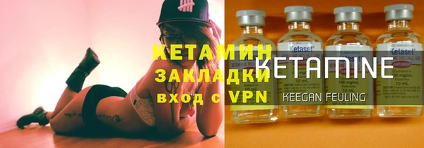 прущие грибы Горно-Алтайск