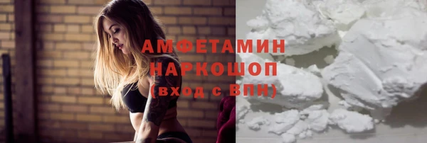прущие грибы Горно-Алтайск