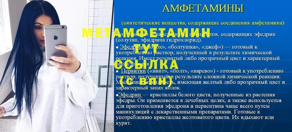 прущие грибы Горно-Алтайск