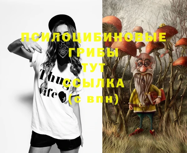 дурь Горняк