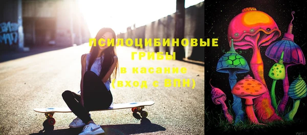 прущие грибы Горно-Алтайск