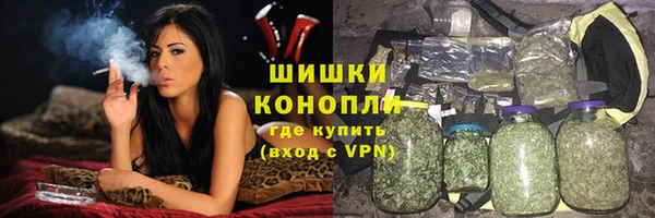 прущие грибы Горно-Алтайск