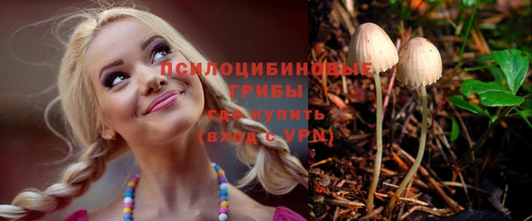 дурь Горняк