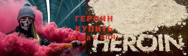 прущие грибы Горно-Алтайск