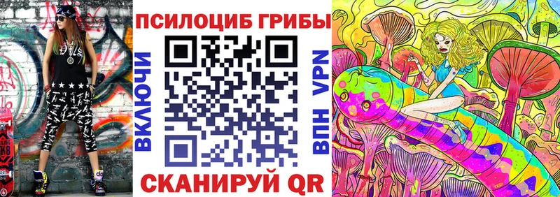 Купить  Новомичуринск  Псилоцибиновые грибы MAGIC MUSHROOMS 